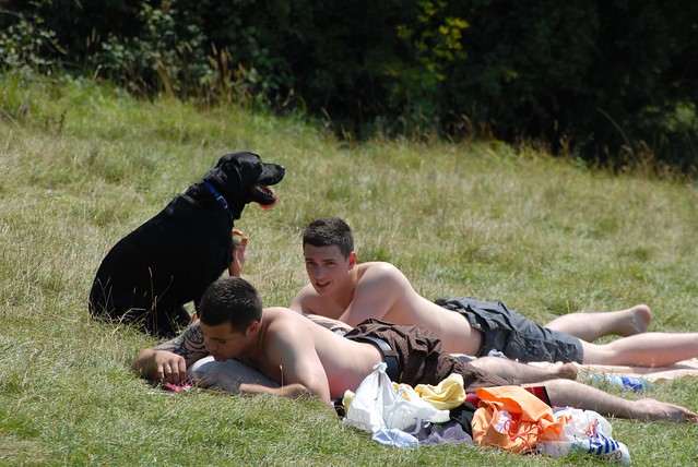 2 lads and a dog