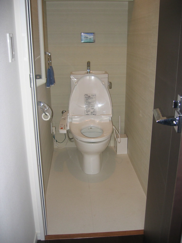 右田さんの新居 10 ドアを開けると、そこは真っ白いトイレだった。 Tomoko Shimaya Flickr