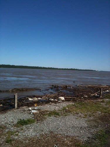 IMG_0179, 