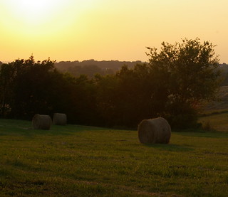 Sunset in the hay field