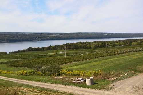 View from Two Goats Brewery,