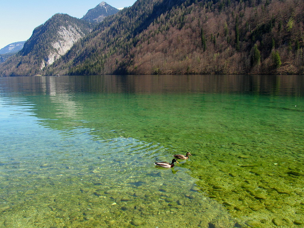 Чистейшее озеро планеты. Озеро Калибек. Кристальное озеро в Германии. Озеро Лунгерер. Прозрачное озеро.