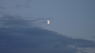 The moon