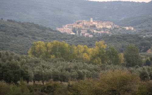 Batignano tra gli olivi - Batignano among the olive trees … | Flickr