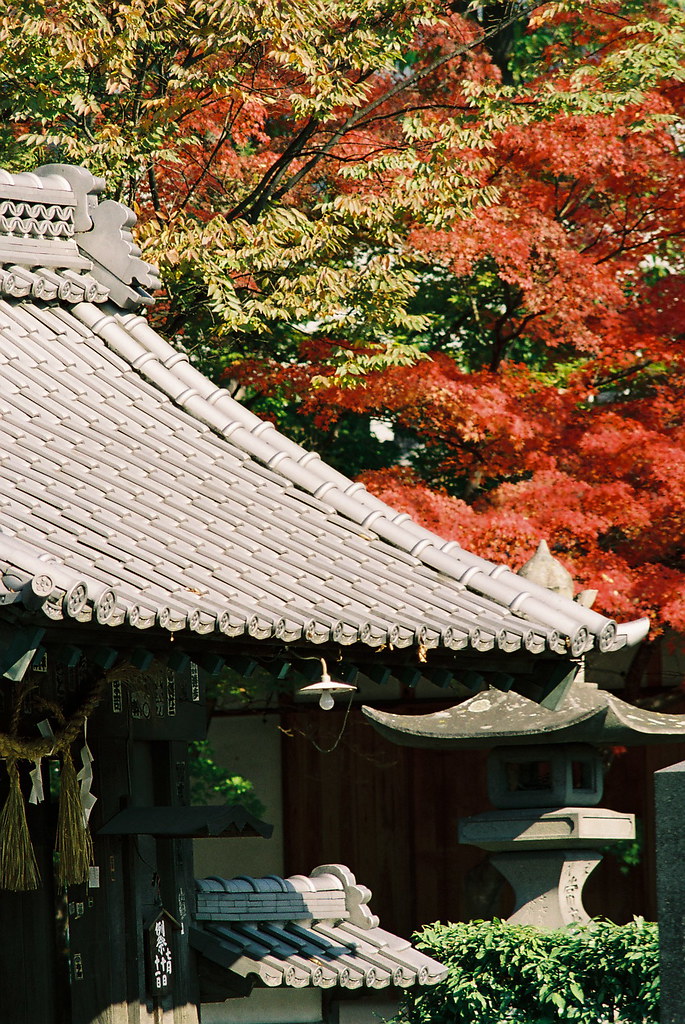 tiled roof