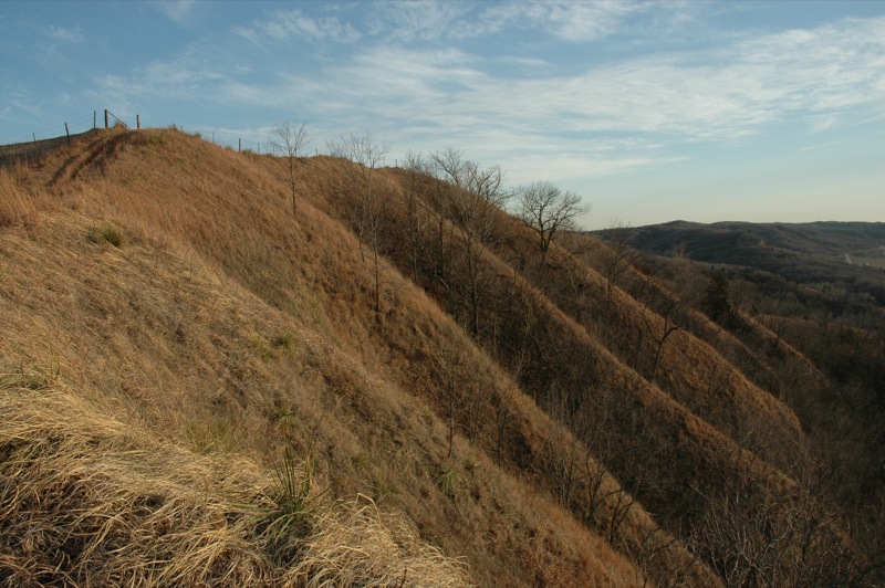 Loess Hills Ridge. Photo by FordRanger; (CC BY-ND 2.0)