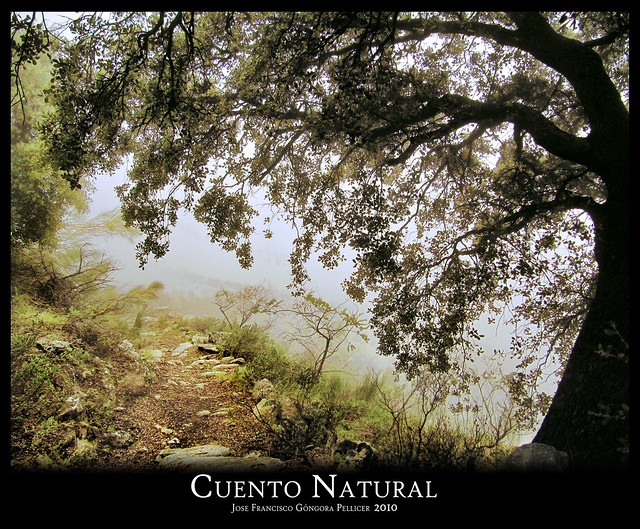 Cuento-Natural