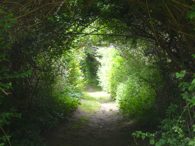 Path, Woods Hole, MA
