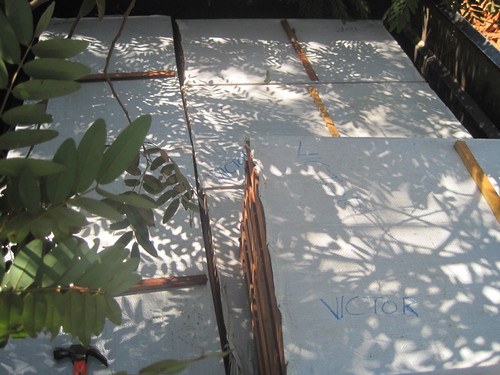 a flat bed of open slat parrot boxes