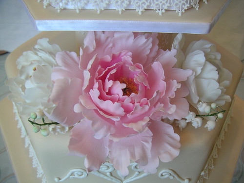 Closeup of peonies | by Temeraire