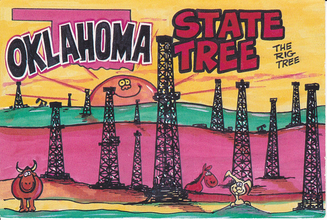 Funny Oklahoma State Tree Postcard