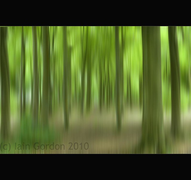 Scottish Forest  - Pretty Green