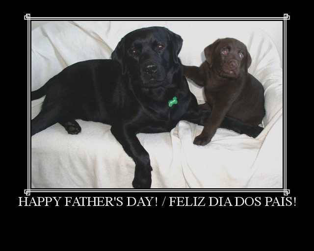 Father's Day / Dia dos Pais