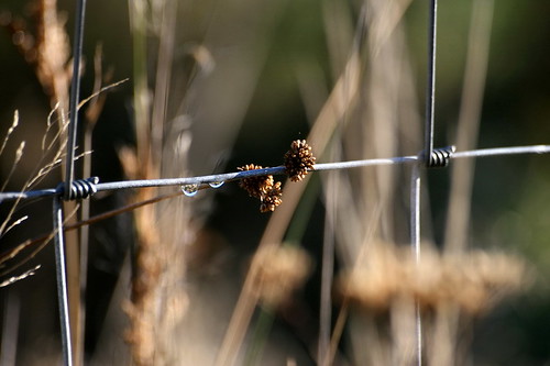 Affinity | by A Different Perspective