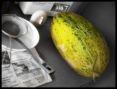 Melon Bombshell | by Jelly of  Eld