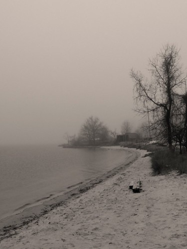 winter bw 120 film beach water fog rollei mediumformat landscape blackwhite shore bleak cropped ilford ilforddelta400 chesapeake impressionist zeisslens rolliflexoldstandard