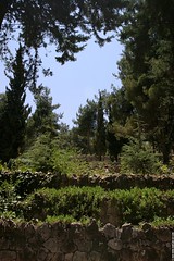 IL04 2698 Mount Herzl Cemetery