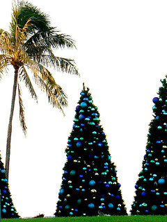 it's beginning to look a lot like christmas...even in hawaii! | by Watari Goro 渡五郎