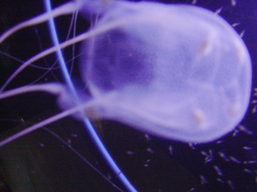 From Outer Space | by Mimosenchrist
