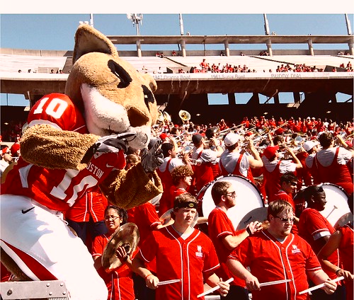Shasta leads the marching band