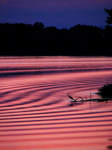 sunset bird refuge craborchardwildliferefuge