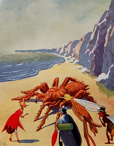 The bugs talk to a spider on the beach