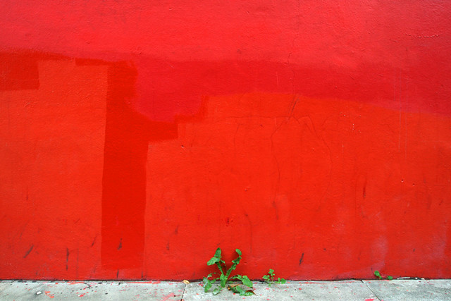 Игры красная стена. Красная стена. Красивая красная стена. Красная стена текстура. Красная стена фон.