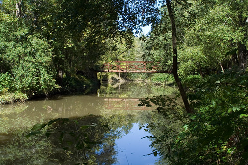 Hoosier Riverwatch by b_nicodemus, Salt Creek Middle Fork near Elkinsvilleindiana browncounty ind hoosierriverwatch