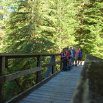High Hoh Bridge