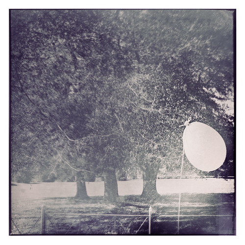 oh zeppelin | by panic-embryo