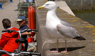 Cornwall