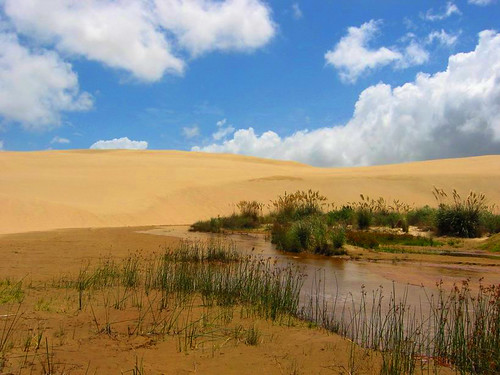 TePaki Sand Dunes | by azurer
