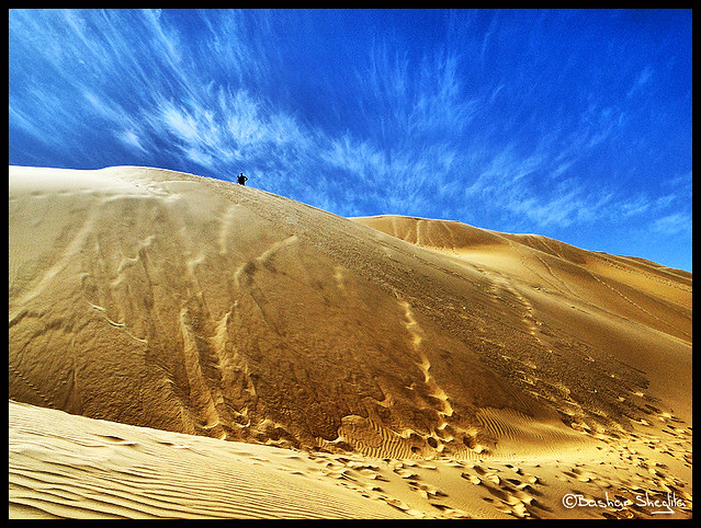 The World's Largest Desert !