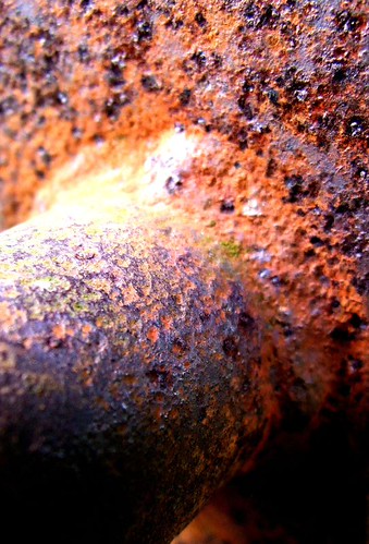 Gate rust | by tina negus