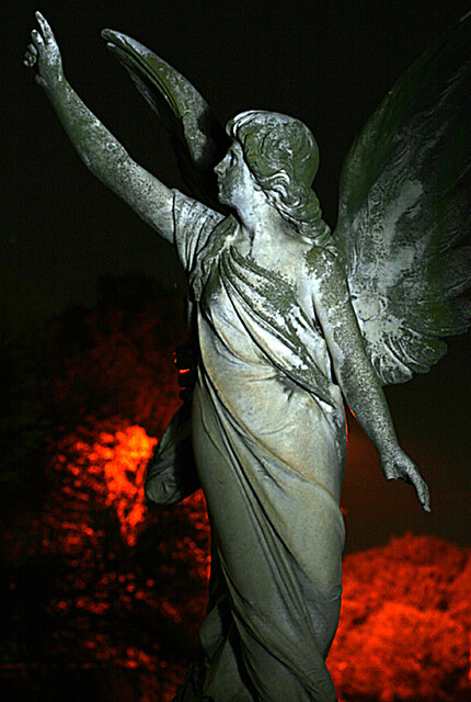 Nocturnal Guardian Angel