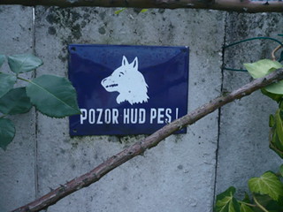 Warning Dog Ljubljana