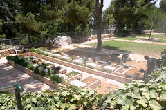 IL04 2712 Mount Herzl Cemetery