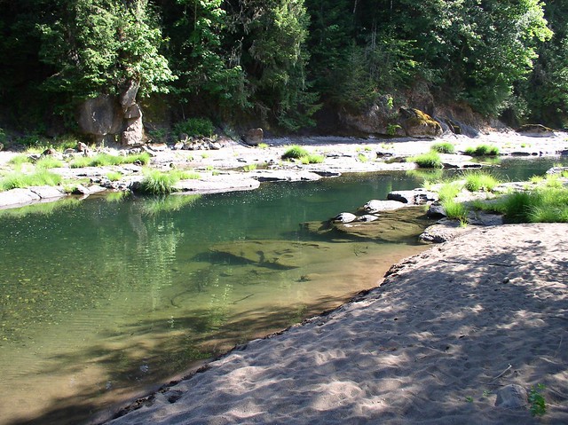 Swimming Hole, Oregon Property