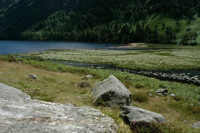 d0704019 | Verlandungsmoore am Upper Lake, Glendalough. Wicklow Mountains / Irland, 14.07.2007