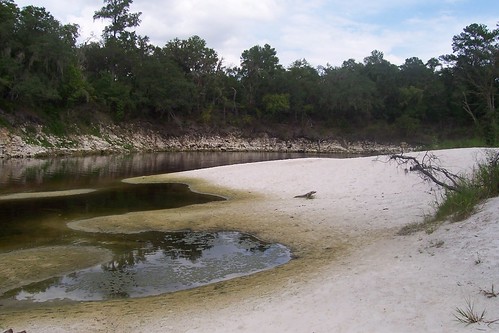 floridasprings suwanneesprings