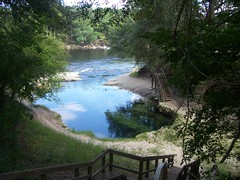 Lafayette Blue Springs State Park (Lafayette County,FL)