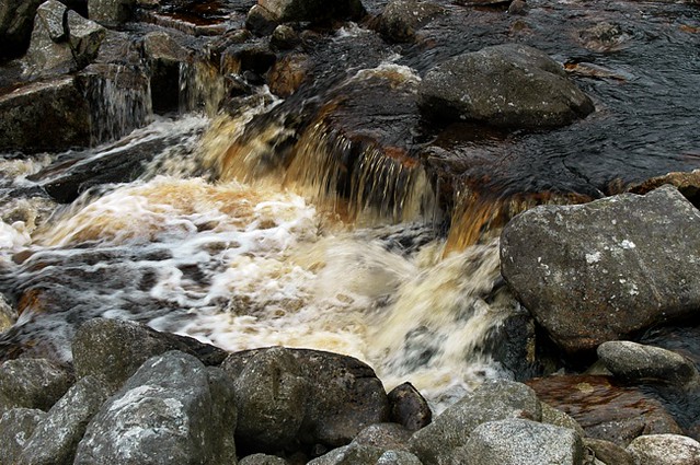 d0704023 | Bach im Vale of Glendalough, braun gefärbt vom Moorwasser. Wicklow Mountains / Irland, 14.07.2007