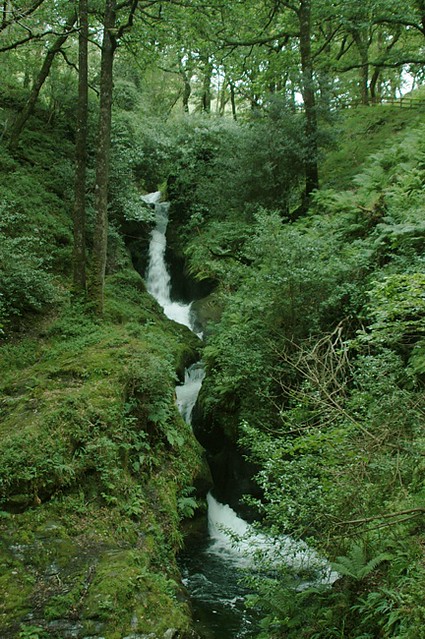 d0704071 | Pollanass Waterfall im Vale of Glendalough. Wicklow Mountains / Irland, 14.07.2007
