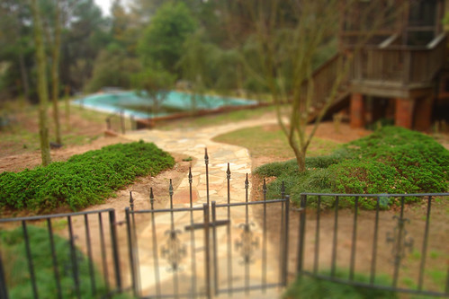 Pool and backyard | by lysistrata398