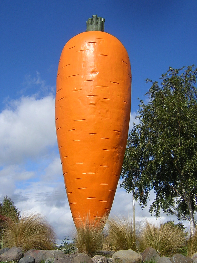 Самый вибратор в мире. Гигантская морковь. Огромная морковка. Самый большой морковь в мире. Самая гигантская морковка.