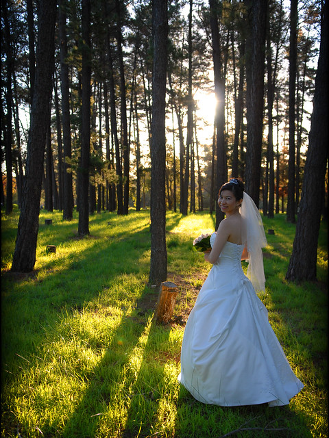 Bride in Woods