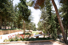 IL04 2695 Mount Herzl Cemetery