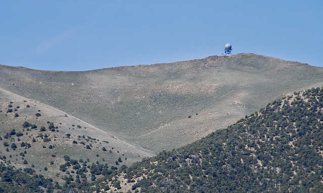 Bovine radar... 20090515_8773