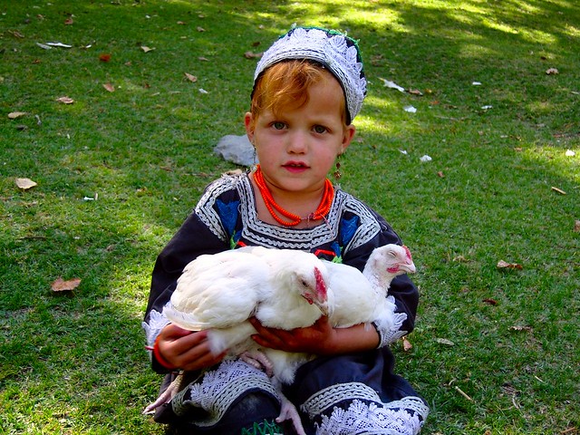 Cute Kalash Girl With Her Chickens