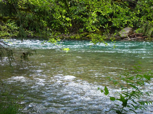 McKenzie River @ Belknap Hotsprings | by mkvip
